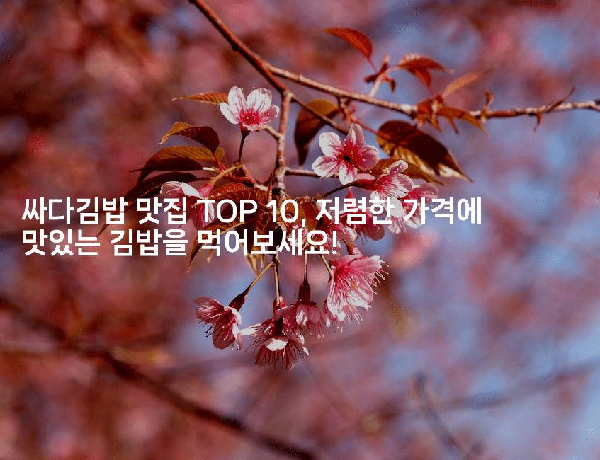싸다김밥 맛집 TOP 10, 저렴한 가격에 맛있는 김밥을 먹어보세요!2-은퇴플래너