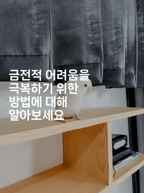 금전적 어려움을 극복하기 위한 방법에 대해 알아보세요-은퇴플래너