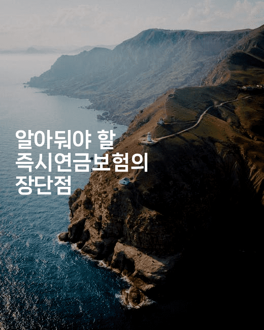 알아둬야 할 즉시연금보험의 장단점2-은퇴플래너