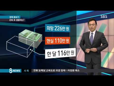 은퇴 후 한달 생활비 226만 원…노후 준비 실상은? /' SBS