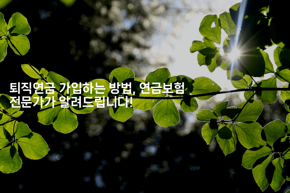 퇴직연금 가입하는 방법, 연금보험 전문가가 알려드립니다!-은퇴플래너