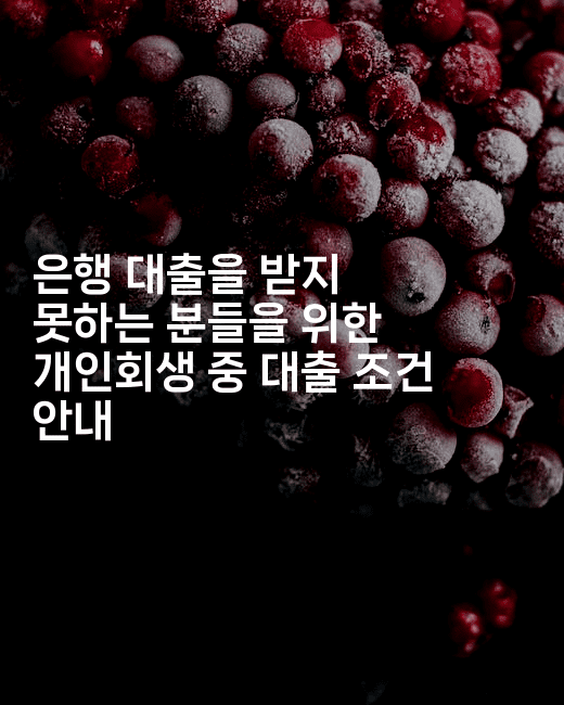 은행 대출을 받지 못하는 분들을 위한 개인회생 중 대출 조건 안내