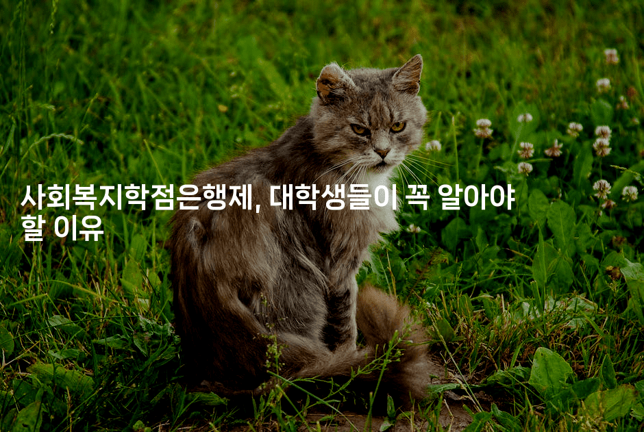 사회복지학점은행제, 대학생들이 꼭 알아야 할 이유-은퇴플래너