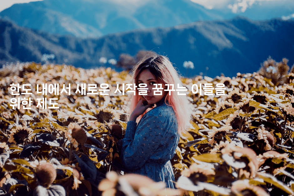 한도 내에서 새로운 시작을 꿈꾸는 이들을 위한 제도-은퇴플래너