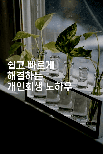 쉽고 빠르게 해결하는 개인회생 노하우