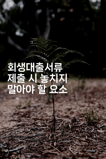 회생대출서류 제출 시 놓치지 말아야 할 요소-은퇴플래너