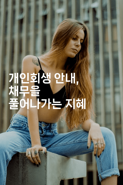 개인회생 안내, 채무을 풀어나가는 지혜